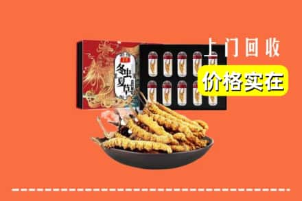 西宁湟源县回收冬虫夏草